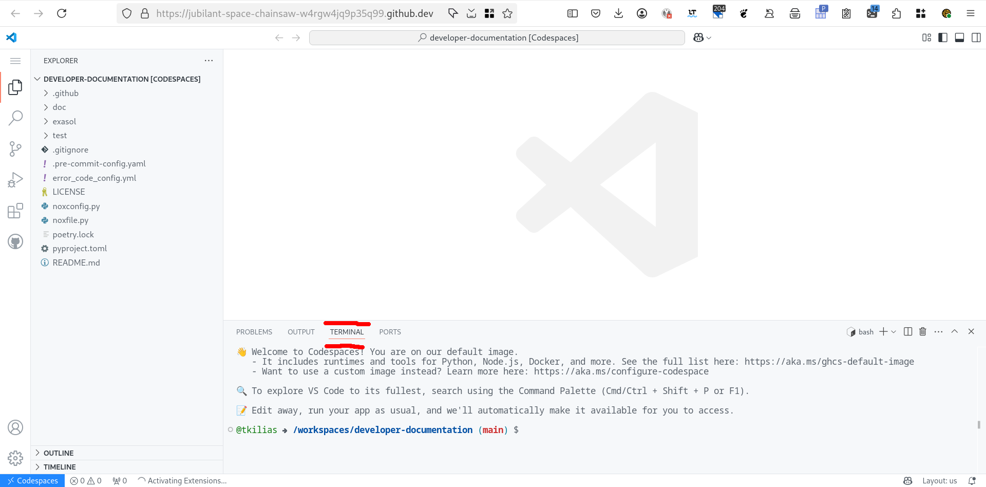 Select the Terminal in Codespace, if not already selected